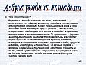 Азбука ухода за лошадьми
