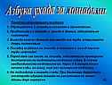Азбука ухода за лошадьми