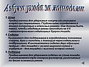Азбука ухода за лошадьми