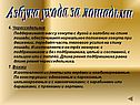 Азбука ухода за лошадьми