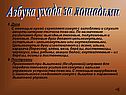 Азбука ухода за лошадьми