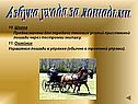 Азбука ухода за лошадьми