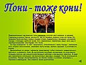 Пони - тоже кони
