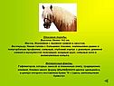 Интересные факты