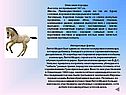 Интересные факты