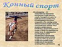 Конный спорт