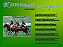 Конный спорт