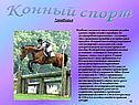 Конный спорт
