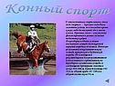 Конный спорт