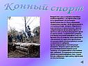 Конный спорт