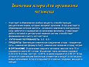 Значения хлора для организма человека