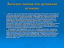 Значение магния для организма человека