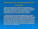 Значение железа для организма человека