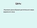 Изучение разнообразия растительного мира