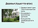 Марийский лес