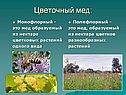 Цветочный мед: