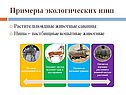 Примеры экологических ниш