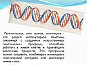 Методы генной инженерии