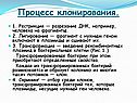 Процесс клонирования