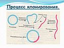 Процесс клонирования