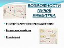 Возможности генной инженерии