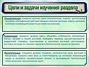 Цели и задачи изучения раздела