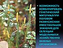 Возможность комбинировать генетический материал