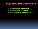 Виды бесполого размножения