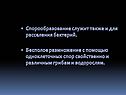 Спорообразование
