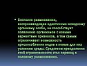 Идентичные исходному организму особи