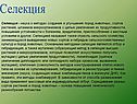 Селекция