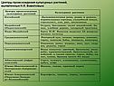 Центры происхождения культурных растений