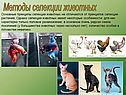 «Методы селекции» 9 класс
