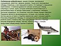 Межвидовое скрещивание