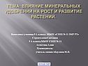 Влияние минеральных удобрений на рост и развитие растений