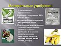 Минеральные удобрения