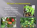Объект исследования