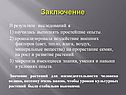 Заключение