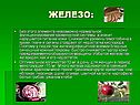 Железо:
