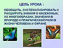 Цель урока