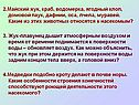 Майский жук, краб, водомерка