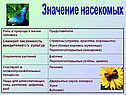 Значение насекомых