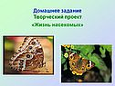 Мир насекомых