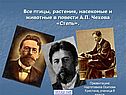 Животные в повести А.П. Чехова «Степь»