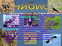 Чибис