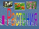 Мир животных и растений
