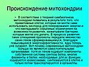 Происхождение митохондрии