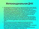 Митохондриальная ДНК
