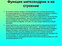 Функции митохондрии и их строение