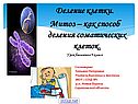 Деление клетки